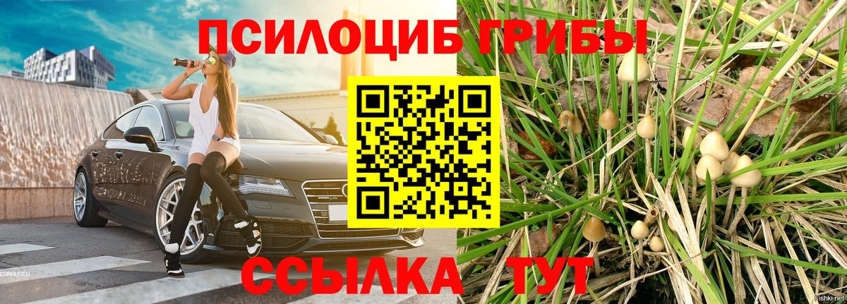 Городец  Псилоцибиновые грибы Psilocybe  Вход с VPN  Галлюциногенные грибы GOLDEN TEACHER 