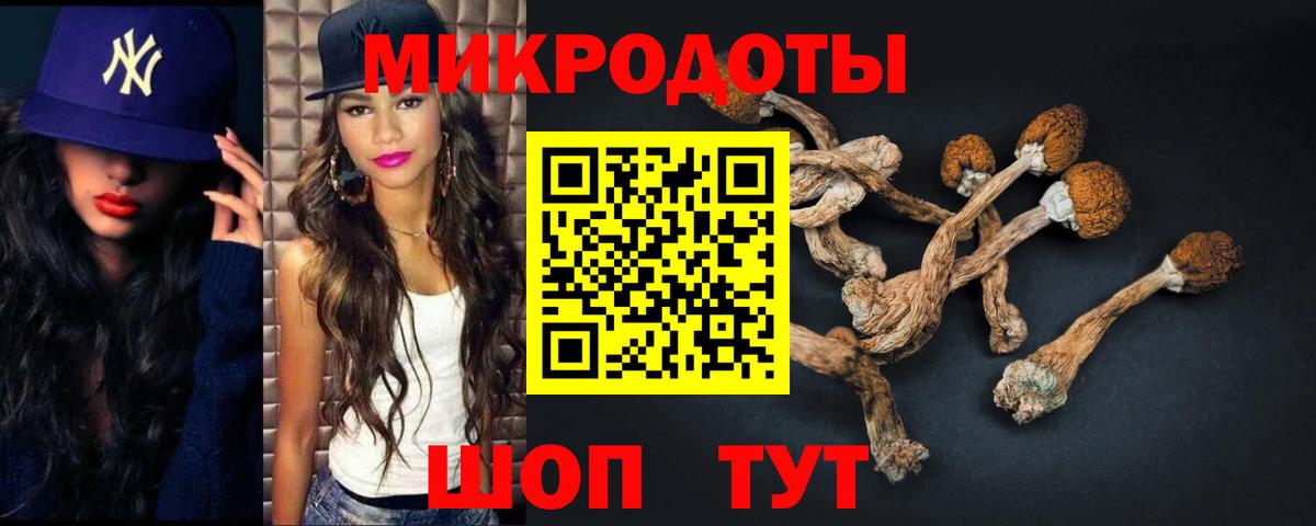 Псилоцибиновые грибы мухоморы Городец